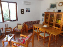 DSC01019