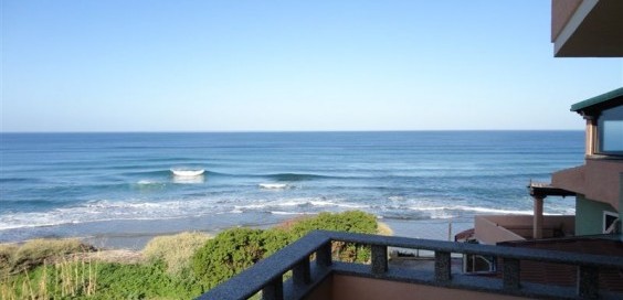 DSC01724-564x423